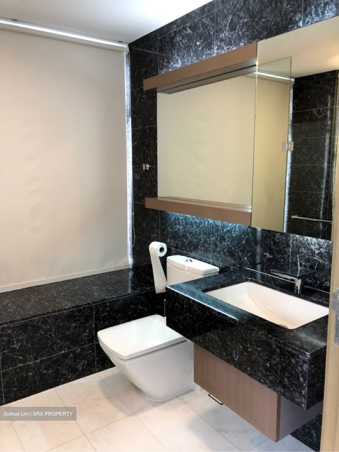 Starlight Suites (D9), Apartment #595161811